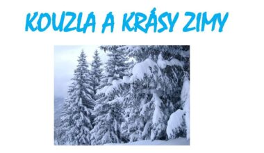 Kouzla a krásy zimy