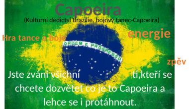NOVINKY - CAPOEIRA
