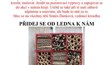 Nábor - mladý zoolog