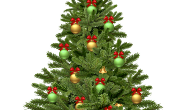 Rozsvícení Vánočního stromečku - ZRUŠENO!!!! ON-LINE