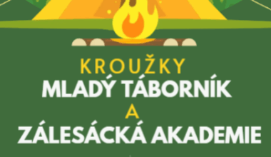 Mladý táborník